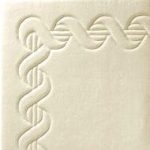 Carved Border Wrap - ISTOOLS