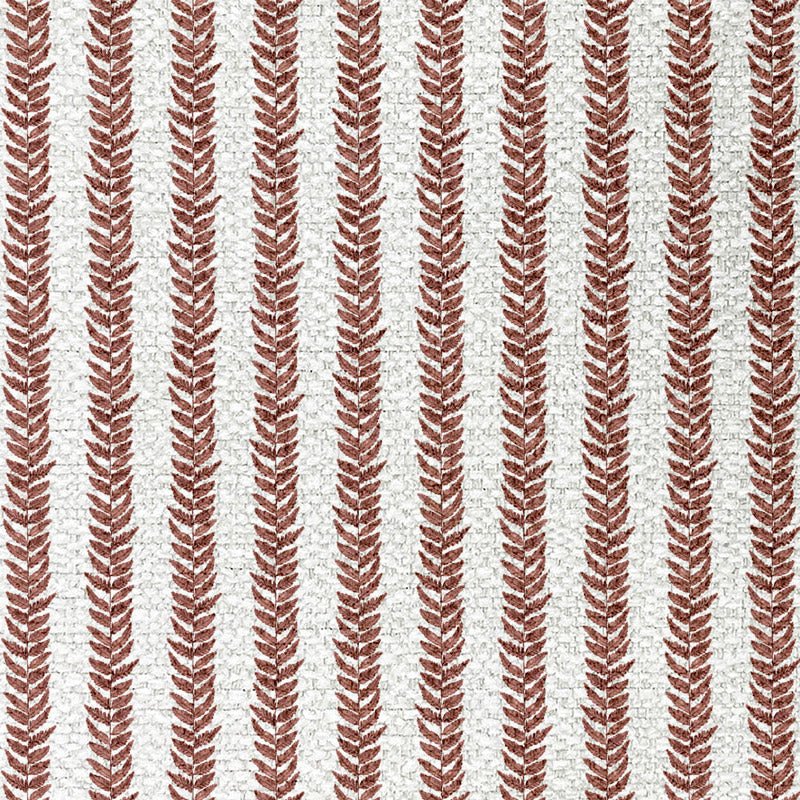 Feather Paprika - ISTOOLS