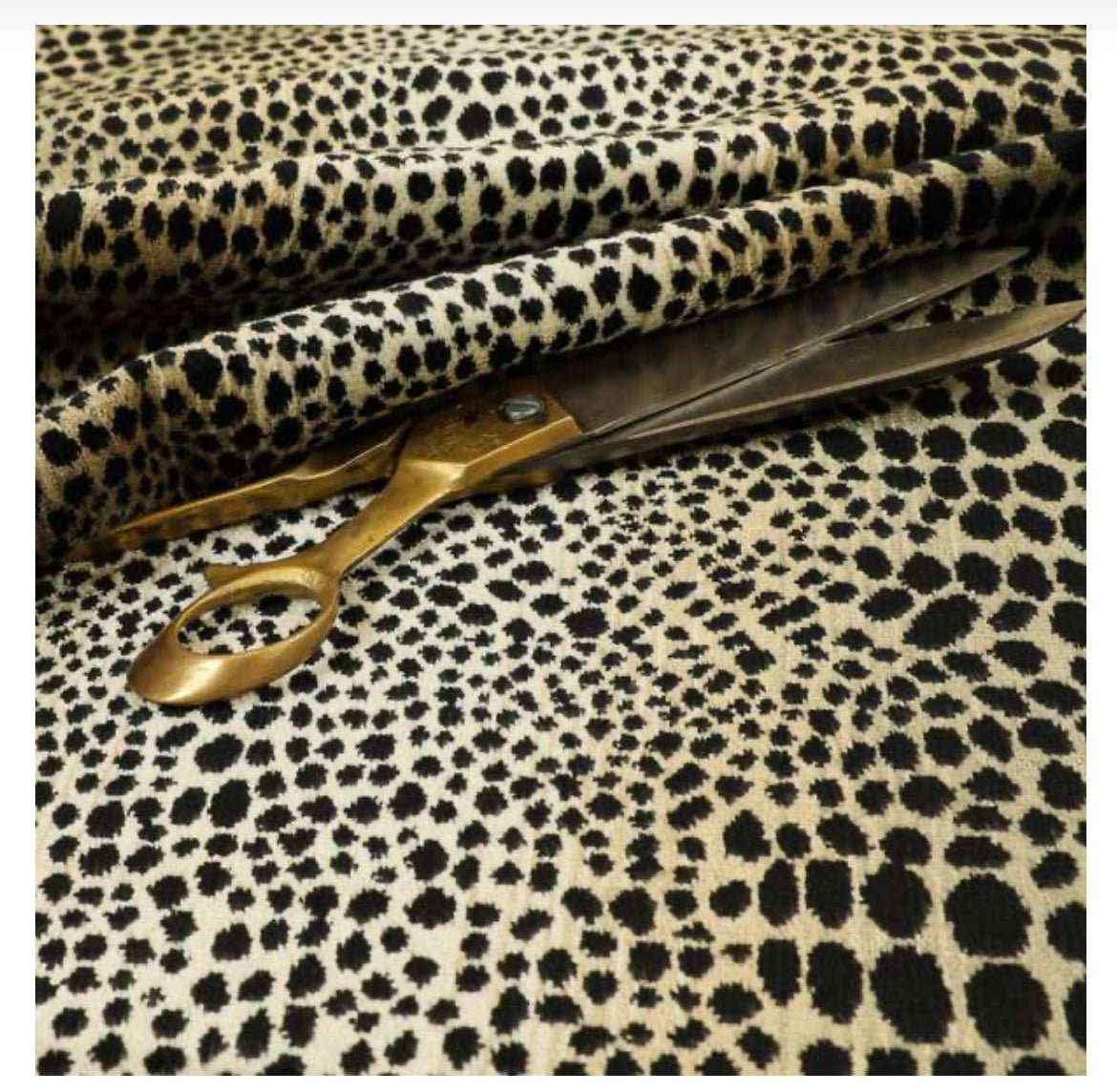 Nubani leopard - ISTOOLS