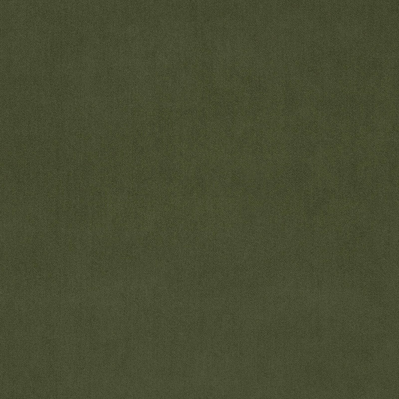 Plush Vine - ISTOOLS