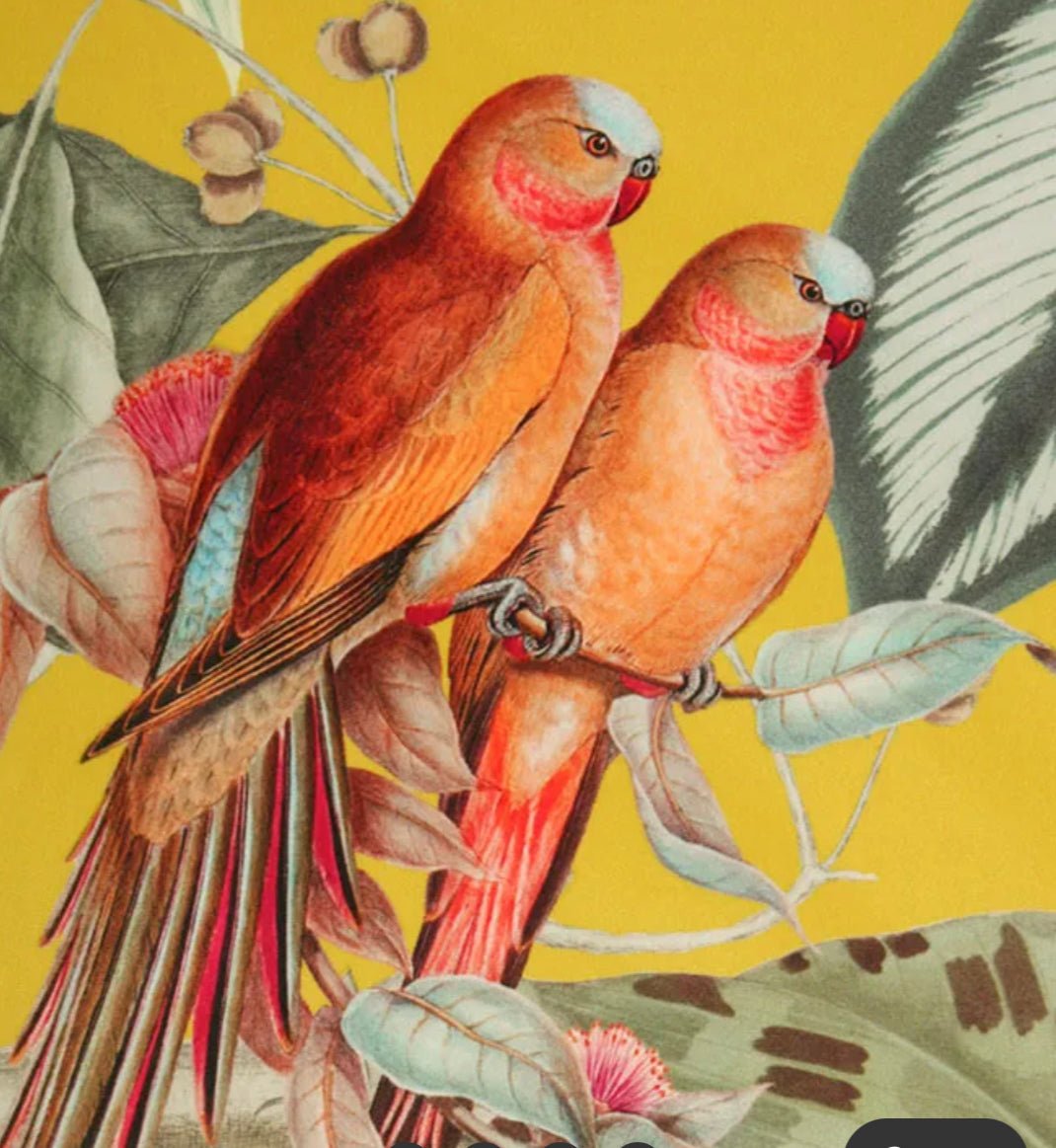 ZEN yellow sample swatch - ISTOOLS