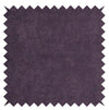 Purple aubergine sample