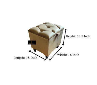 Champagne Small coffee table Storage Box, side table footstool