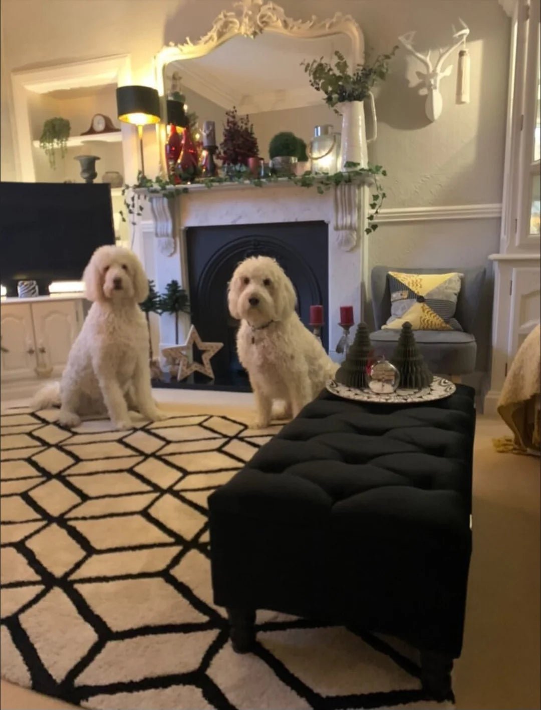 Black Ottoman Coffee Table Storage Bench | Black Bedroom Ottoman & Pouffe - ISTOOLS