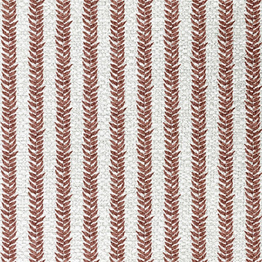 Feather Paprika - ISTOOLS