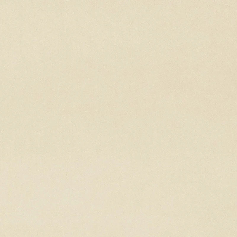 Plush Bone - ISTOOLS