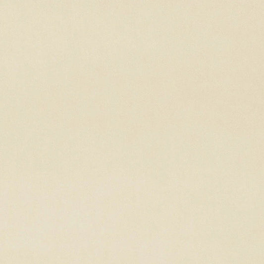 Plush Bone - ISTOOLS