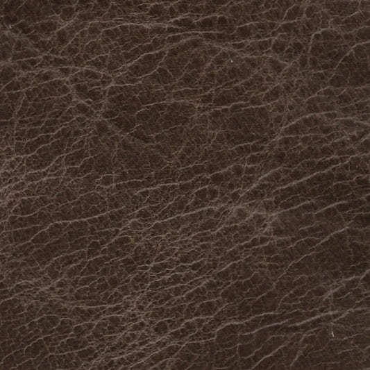 Selvaggio : Dark Brown - ISTOOLS