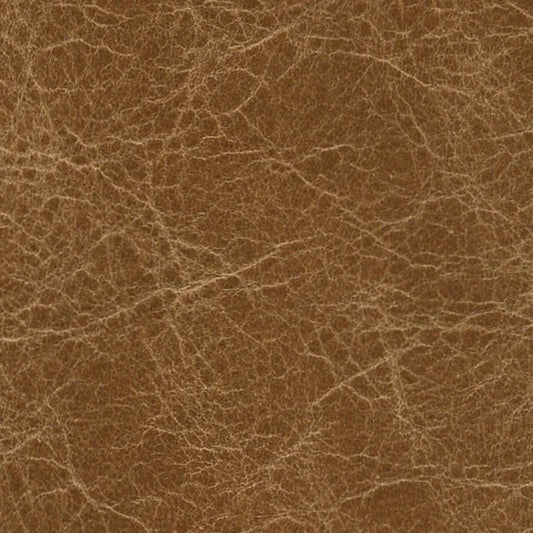 Selvaggio : Honey - ISTOOLS