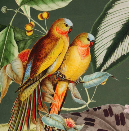 ZEN green fabric swatch - ISTOOLS