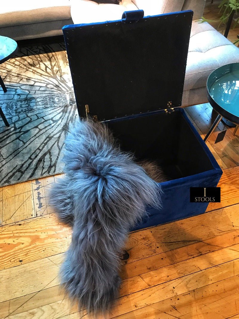 Small coffee table Storage Box | Footrest with Storage | Pouffe - ISTOOLS