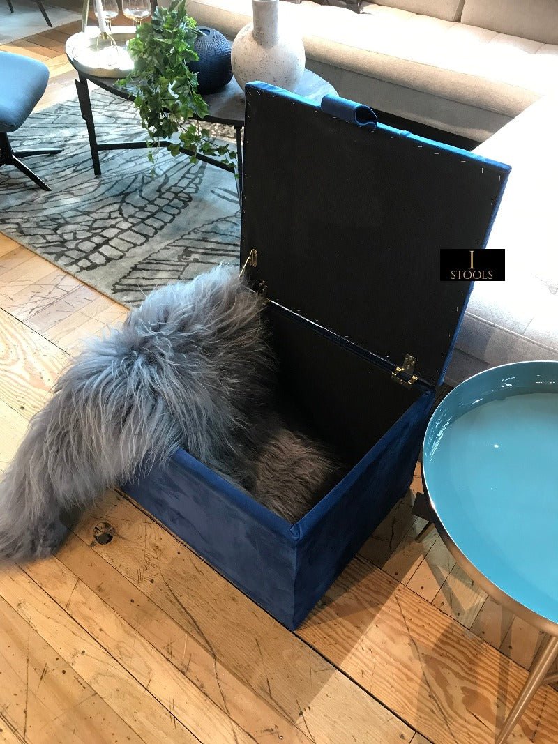 Small coffee table Storage Box | Footrest with Storage | Pouffe - ISTOOLS