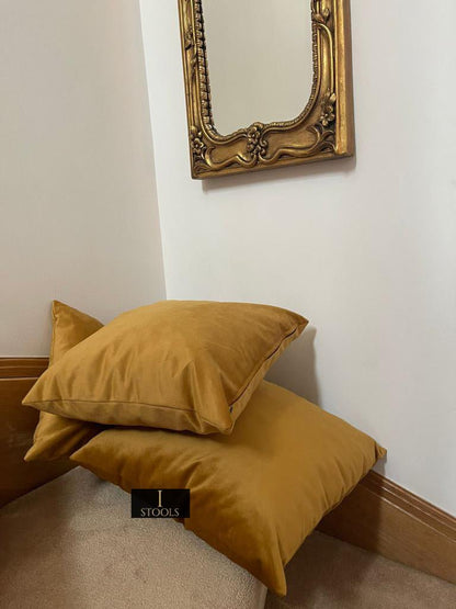 Soft Plush Velvet Cushions - ISTOOLS