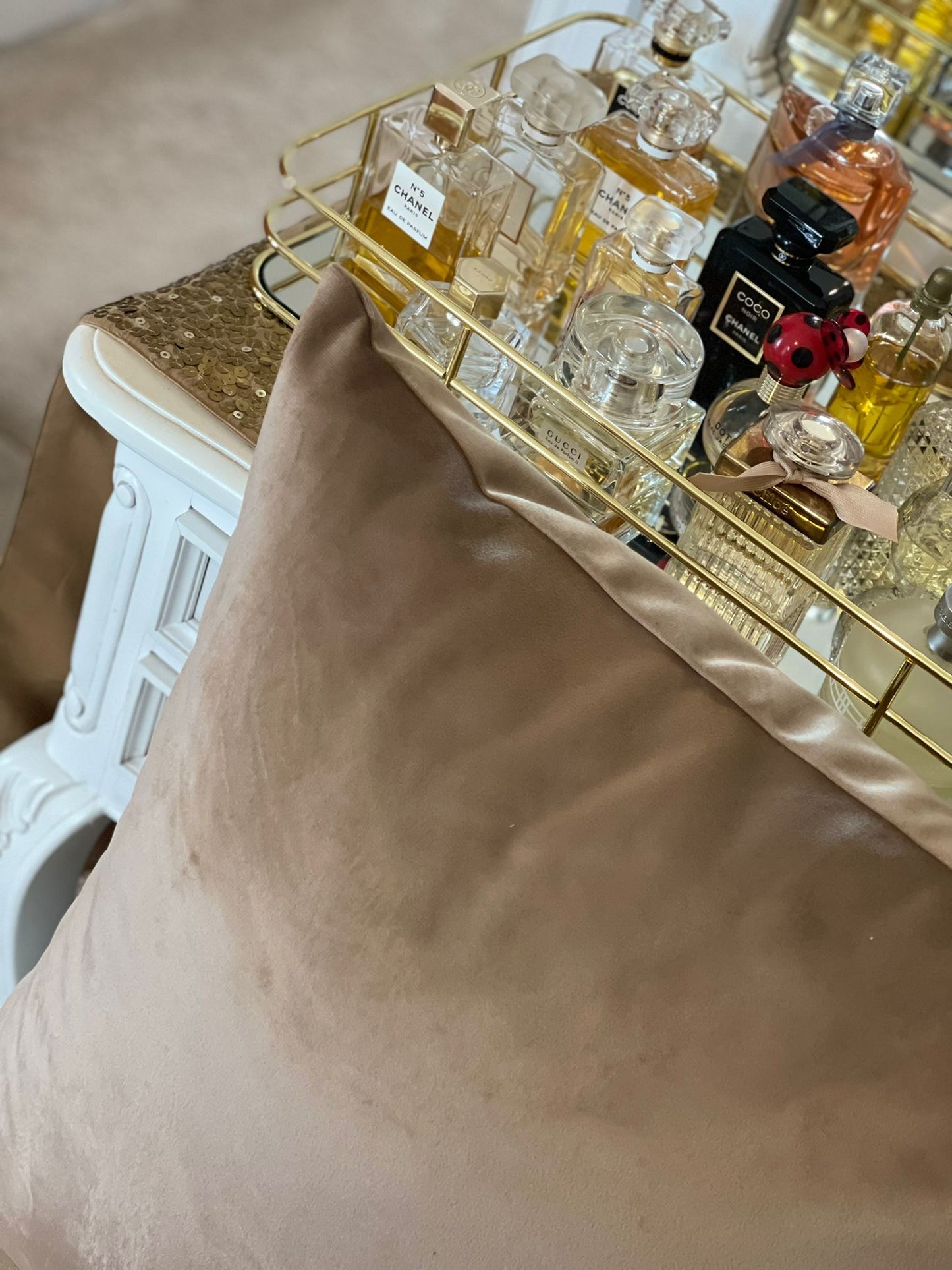 Soft Plush Velvet Cushions - ISTOOLS