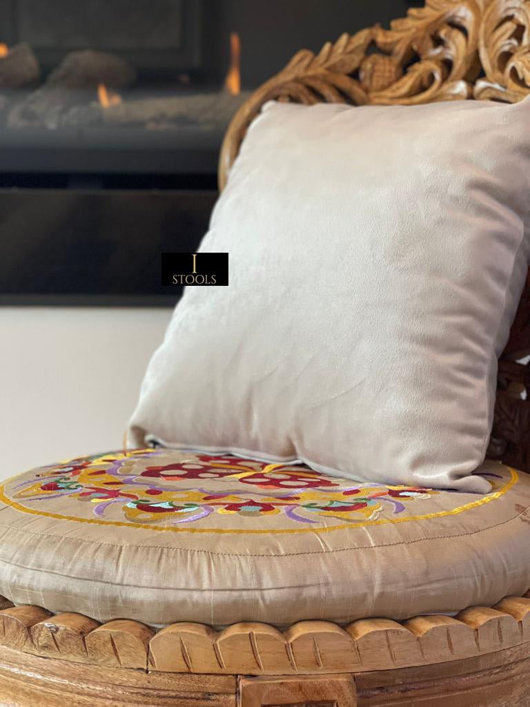 Soft Plush Velvet Cushions - ISTOOLS